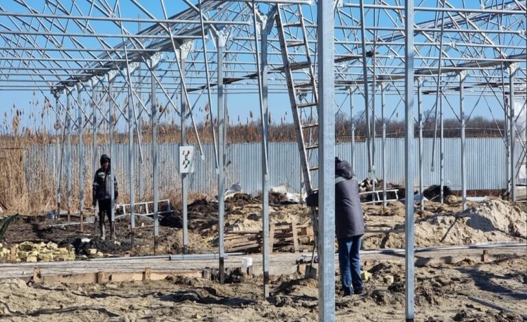 Производство промышленных теплиц